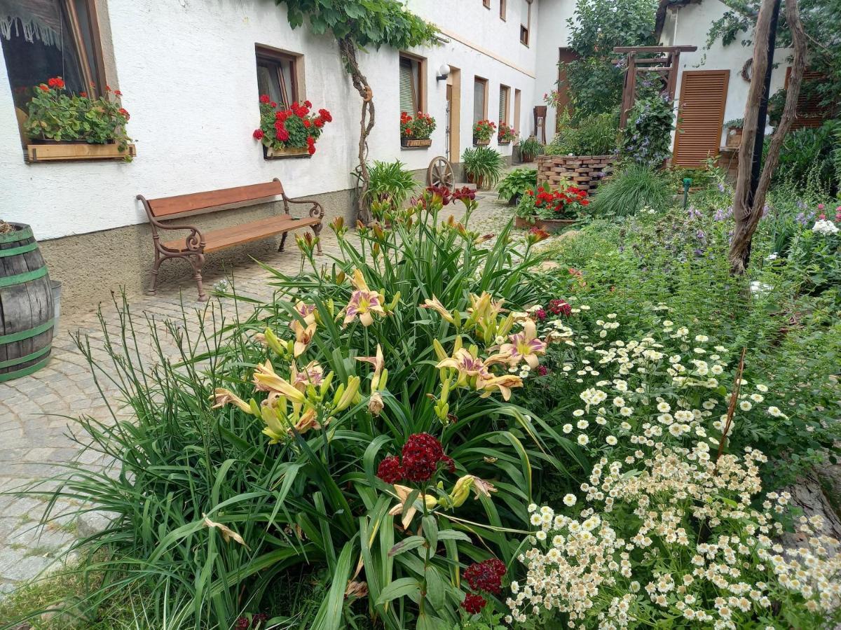 Hotel Winzerhof Fleischmann Kleinhoflein Exterior foto