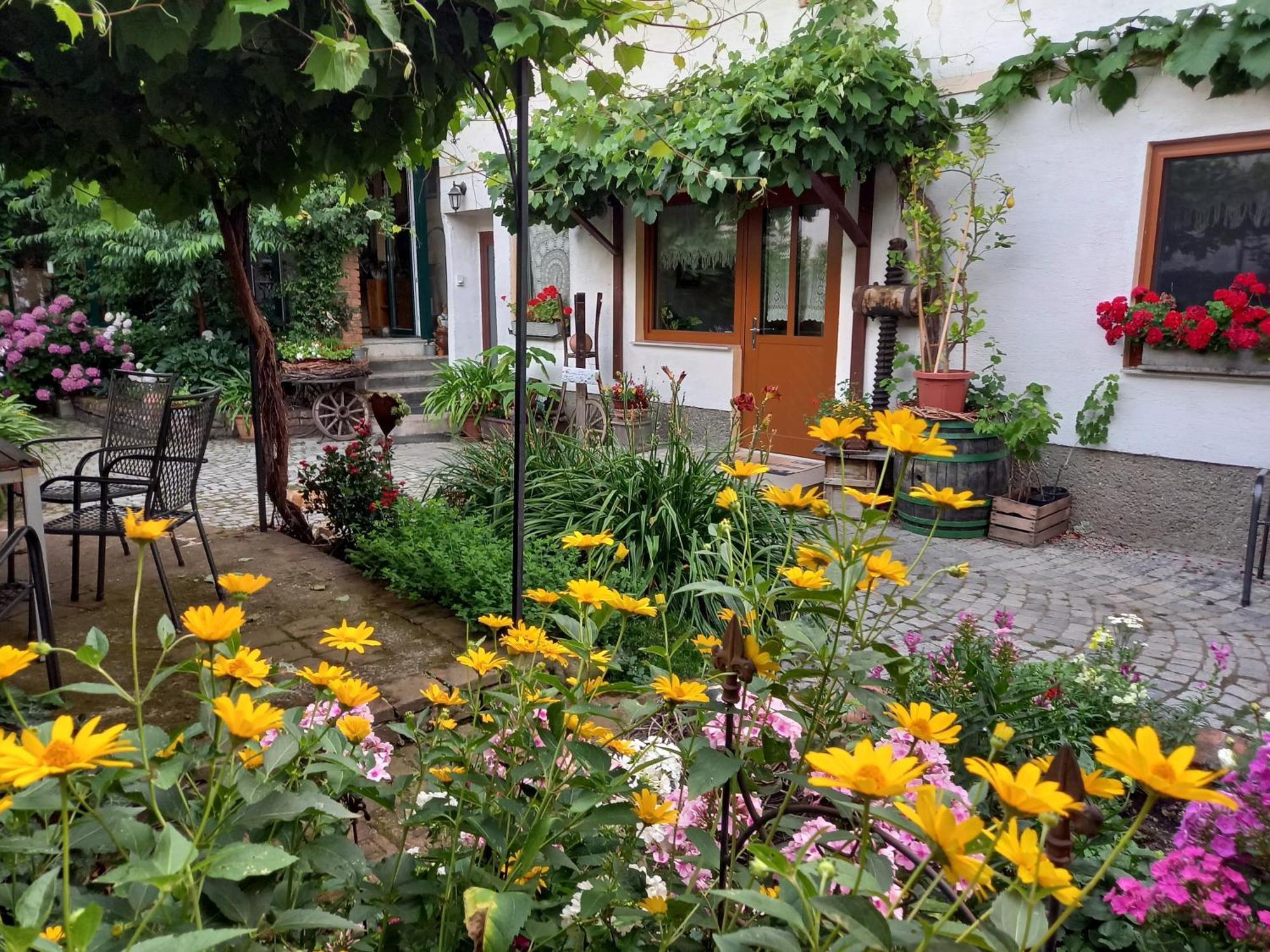 Hotel Winzerhof Fleischmann Kleinhoflein Exterior foto
